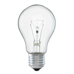 Normallampa Klar 12V 40W E27
