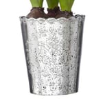 Soleia Kruka Silver (Storlek: Liten)