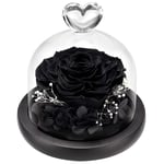 DuHouse Forever Roses Preserved Real Flowers Eternal Enchanted Rose Flower Box Unique Gift for Valentines Birthday Anniversary Mother's Day Christmas(Black)