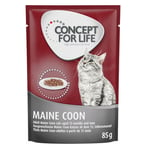 Ekonomipack: Concept for Life 48 x 85 g Maine Coon Adult (ragout)