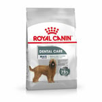 Royal Canin Maxi Adult Dental Care Dry Dog Food - 9kg