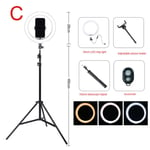 10 inch selfie ring light with tripod stand phone ring light USB Powered selfie light with 3 Color Modes and 10 Brightness-10inch