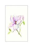 Komar Image Murale Magnolia Shine - Décoration pour Salon et Chambre à Coucher - Impression Artistique sans Cadre - 50 x 70 cm - Dimensions : 50 x 70 cm (Largeur x Hauteur)