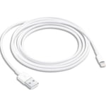 Apple Câble lightning 2 m blanc - de données / charge pour iPad iPhone iPod