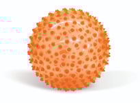 Edushape - Sensorisk boll See-Me - Orange 16 cm