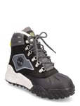 Moriah Range Hiker Wp Ins Shoes Boots Ankle Boots Laced Boots Black Timberland