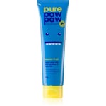 Pure Paw Paw Passion Fruit Fugtgivende læbepomade til tørre områder 25 g