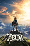 Tainsi ASHER Gift The Legend of Zelda Breath of The Wild Hyrule Video Game Gaming Cool Wall Decor Art Print Poster - Matte poster Frameless Gift 11 x 17 inch(28cm x 43cm)-LS-122