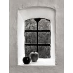 Fönster med krukor - 70x100 cm Svart ram passpartou
