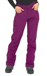 ARCTIX Sarah Fleece-Lined Softshell Pants Pantalon de Neige Femme, Prune, Medium (8-10) Regular