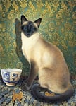 Phuan - Art Blank Greeting / Birthday Card - Chocolate Colourpoint Siamese Cat