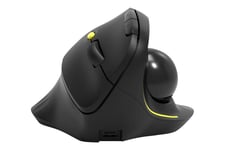 PORT Connect Professional - lodret mus - med trackball - 2.4 GHz, Bluetooth 3.0, Bluetooth 5.0