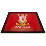 Liverpool FC Kuddfåtölj Bricka En Storlek Röd/Svart/Vit Red/Black/White One Size