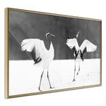 Arkiio Poster Affisch Dancing Cranes - [Poster] 90x60