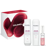 Goldwell Dualsenses Color Brillance Set (Worth £35.40)