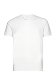 Bamboo Tee White Frank Dandy