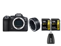 Canon EOS R6 Mark II Hus kit Med RF-EF Adapter + 2x Lexar 128gb+