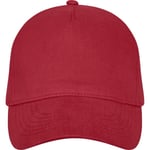 Elevate Unisex Vuxen Doyle 5-Panel Keps Storlek One Röd Red One Size