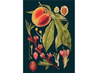 Madame Treacle B6-carnet med kuvert Peach