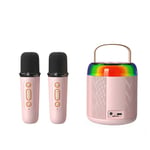  Karaoke Audio with 2  Microphones for Kids Adults, Portable Bluetooth9986