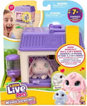 Little Live Pets Mama Surprise Minis Bunny