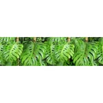 Sanders&sanders - Frise de papier peint adhésive feuilles tropicales - 14 x 500 cm de vert