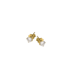Bottega Boccadamo Earrings Stud Guld