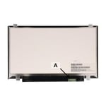 Lenovo LCD Ersättningsskärm 14.0 WQHD IPS 2560x1440 Matte