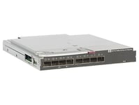 Hewlett Packard Enterprise Virtual Connect 16Gb 24-port Fibre Channel Module nettverkssvitsjmodul