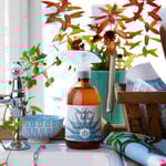 Kalkborttagning | Lavender &amp Mint | Maison Belle