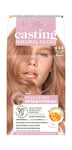 L'Oréal Paris Coloration sans ammoniaque et sans silicone - Coloration intense Casting Natural Gloss n° 823 - Blond latte clair (blond)