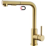 Brushed Gold Kitchen Tap w/ Pull Out Sprayer | Stainless Swivel Single Lever -
