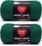 Red Heart Super Saver Jumbo Paddy Green Lot de 2 pelotes de laine acrylique 396 g 4 moyens (peigné) 704 m