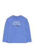 Baby Th Logo Tee L/S Tops T-shirts Long-sleeved T-shirts Blue Tommy Hilfiger