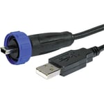 Bulgin - Cordon adaptateur 2m usb a mâle / Mini-USB b mâle IP68 eska PX0441/2M00