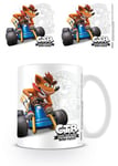 Crash Team Racing Mug Crash Emblem