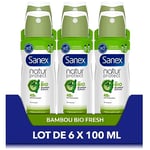 SANEX - Déodorant Spray Compressé Natur Protect Fresh Efficacy - Extrait De Bambou Bio & Poudre De Bambou Bio Naturelle - Protection Anti-Odeurs 48h - Vegan - Lot De 6 x 100 ml