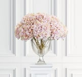 Hortensia snittblomma rosa