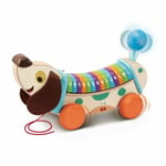 Vauvojen interaktiivinen lelu Vtech Baby My Interactive ABC Dog 