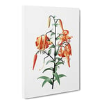 Tiger Lily Flowers By Pierre Joseph Redoute Vintage Canvas Wall Art Print Ready to Hang, Framed Picture for Living Room Bedroom Home Office Décor, 24x16 Inch (60x40 cm)