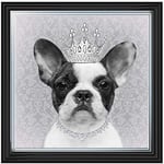 Royal French Bulldog' Framed Graphic Art AN092 56x56cm Two Tone Lyon Frame Finished with liquid art resin