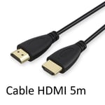 Cable HDMI Male 5m pour NINTENDO SWITCH Console Gold 3D FULL HD 4K Television Ecran 1080p Rallonge (NOIR)