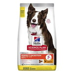 Hills SP Adult Dog Perfect Digestion Medium, Chicken