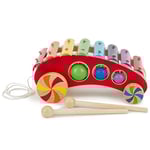 Bieco Xylophone Bebe 1 An | Xylophone Enfant | Trotteur en Bois | Jouet a Tirer | Apprendre a Marcher pour Bebe Chariot de Marche Bebe Trotteur Pousseur Trotteur Bebe Trotteur Bois Chariot Marche Bebe