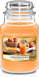 Yankee Candle Candle, Farm Fresh Peach, Large