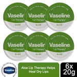Vaseline Lip Therapy Petroleum Jelly, Aloe Vera, 6 Pack, 20gm
