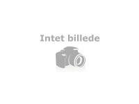 Belkin InvisiGlass - Skärmskydd för mobiltelefon - ramfärg svart - för Apple iPhone 11, XR