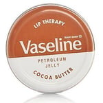 Vaseline Lip Therapy Petroleum Jelly x 20g Aloe Vera