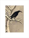 Japan Nature Crow Tree Snow SHOSON Ohara Black Framed Art Print B12X5130