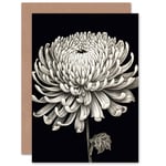 Chrysanthemum Bloom Flower Floral for Wife Her Birthday Blank Greeting Card